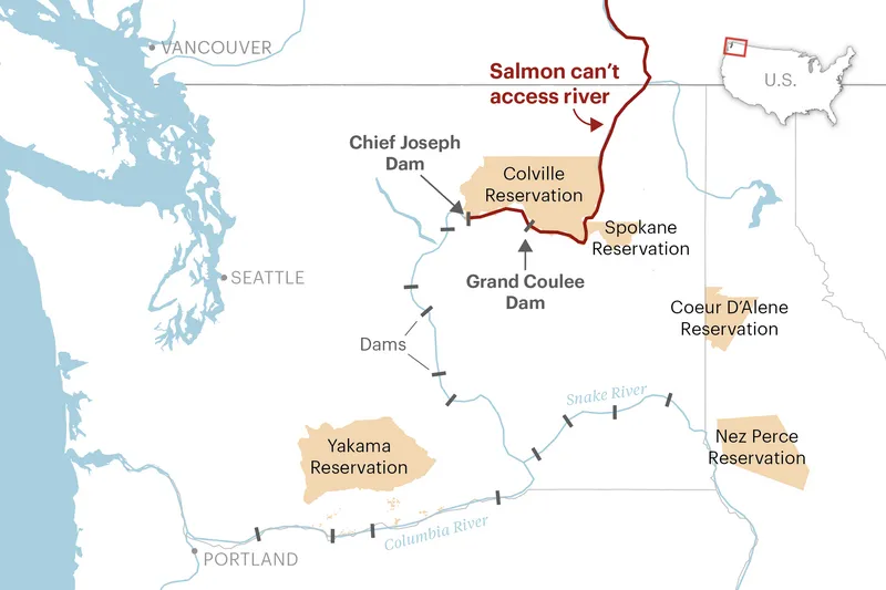 A map shows over a dozen dams along the Columbia River and Snake River in the U.S. Northwest. The Yakama, Colville, Spokane, Coeur D’Alene and Nez Perce reservations are annotated. A red line indicates part of the Columbia River northeast of the Grand Coulee Dam that salmon cannot access.