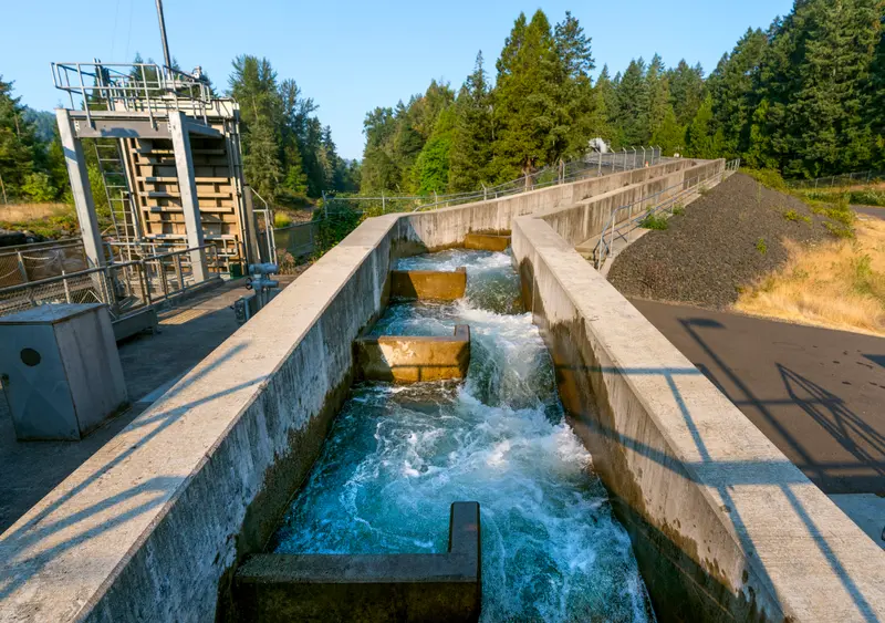 This Billion-Dollar Plan to Save Salmon Depends on a Giant Fish Vacuum 8