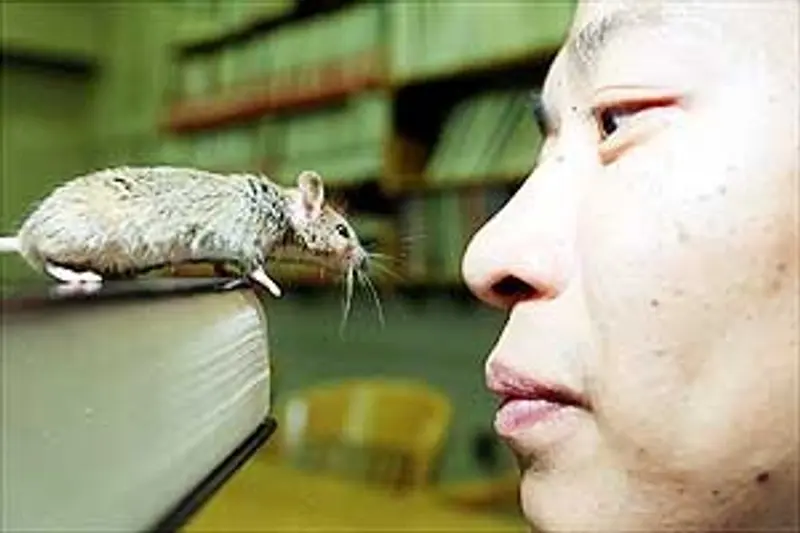 A closeup of Tsien's face, which is level with a mouse who is perched on a book and facing him.
