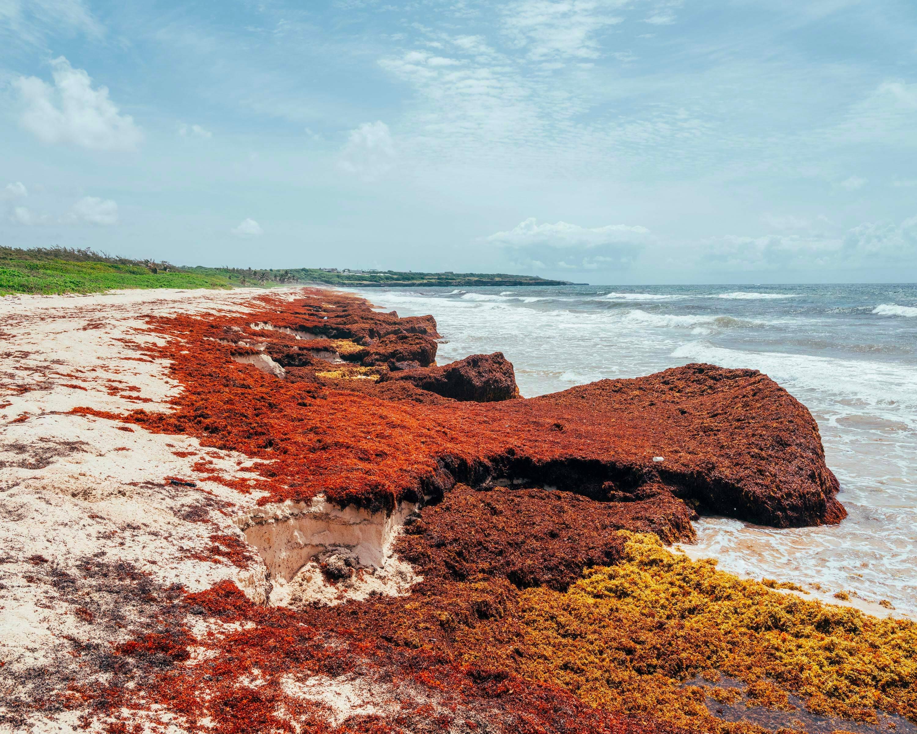 Barbados Resists Climate Colonialism In An Effort To Survive The Costs   20220719 PP NYT Barbados  052622 1042 