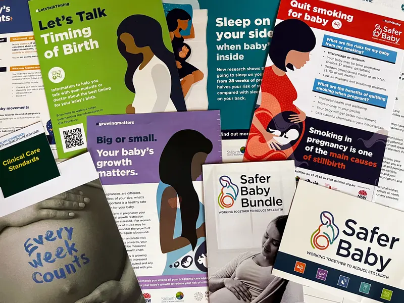 A collection of pregnancy brochures.