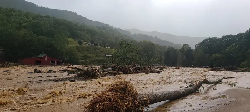 Uprooted tree trunks lie across a river rushing with brown water.