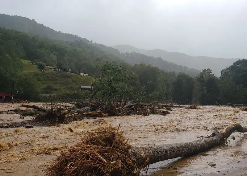 Uprooted tree trunks lie across a river rushing with brown water.
