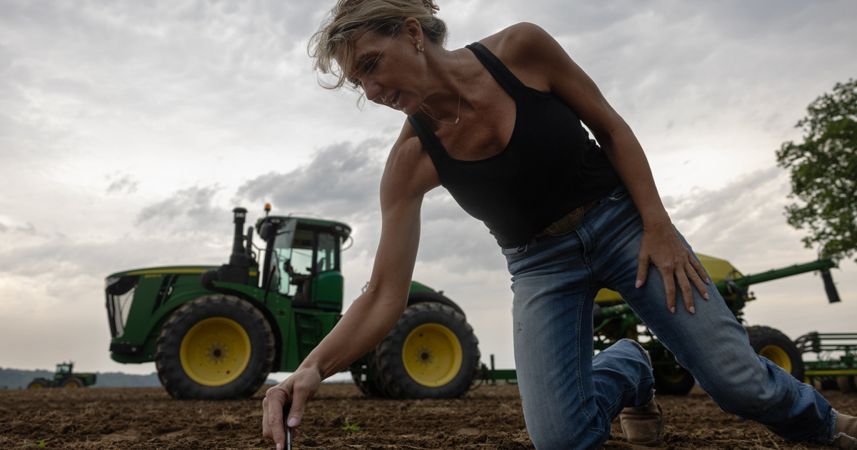 Image for article The Federal Farm Policy Trap Why Some Farmers Are Stuck Raising Crops That No Longer Thrive