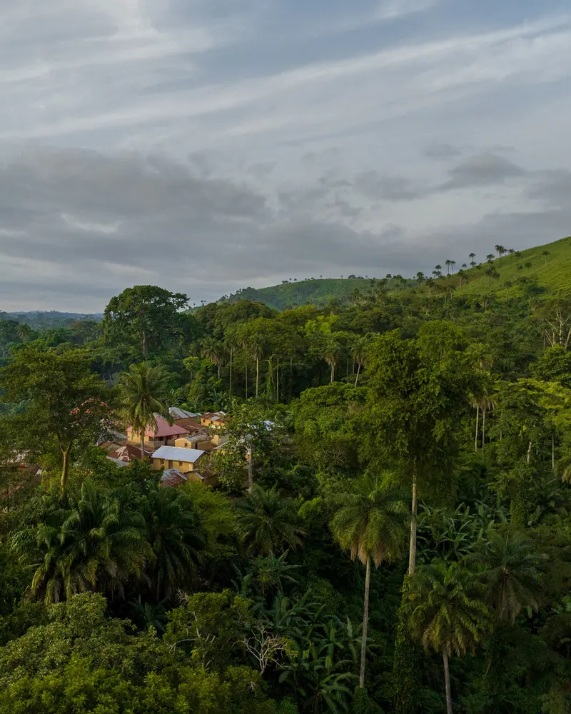 A small village is seen from above in a dense green tropical forest.