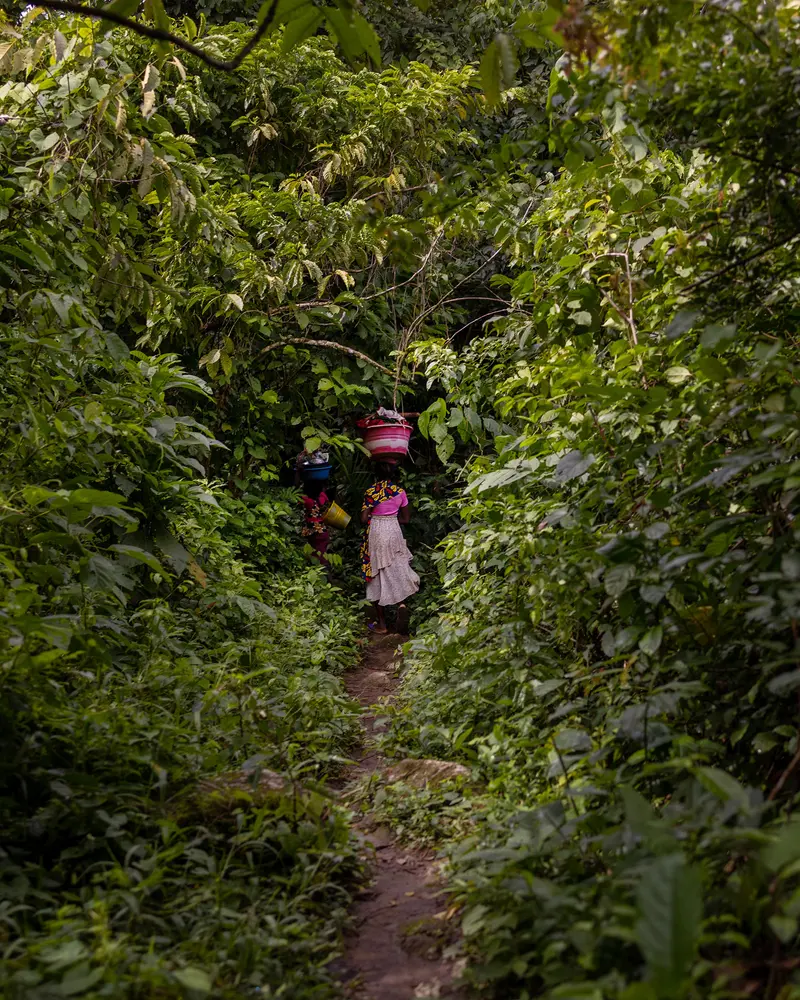 A woman wearing pink and carrying a pink bucket on her head walks on a path surrounded by lush plants.