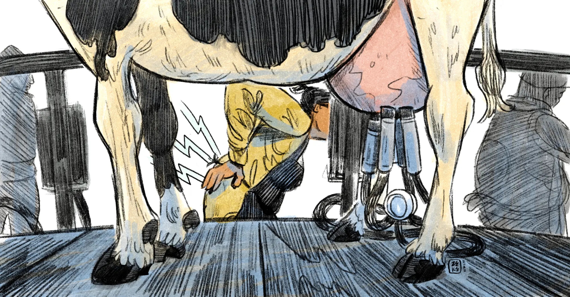 When Immigrant Dairy Farm Workers Get Hurt, Most Can’t Rely on Workers’ Compensation (propublica.org)