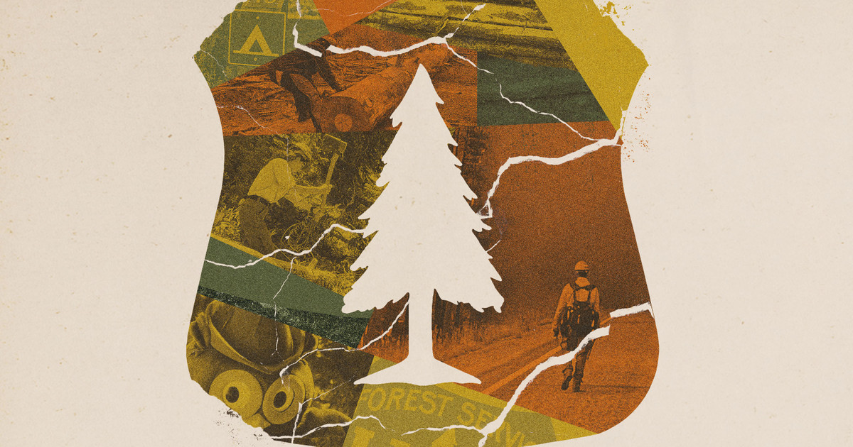 ProPublica EmilyScherer ForestryService 3x2 MaxWidth 3000 MaxHeight 3000 Ppi 72 Quality 95 EmbedColorProfile True ProPublica EmilyScherer ForestryService 3x2 MaxWidth 3000 MaxHeight 3000 Ppi 72 Quality 95 EmbedColorProfile True