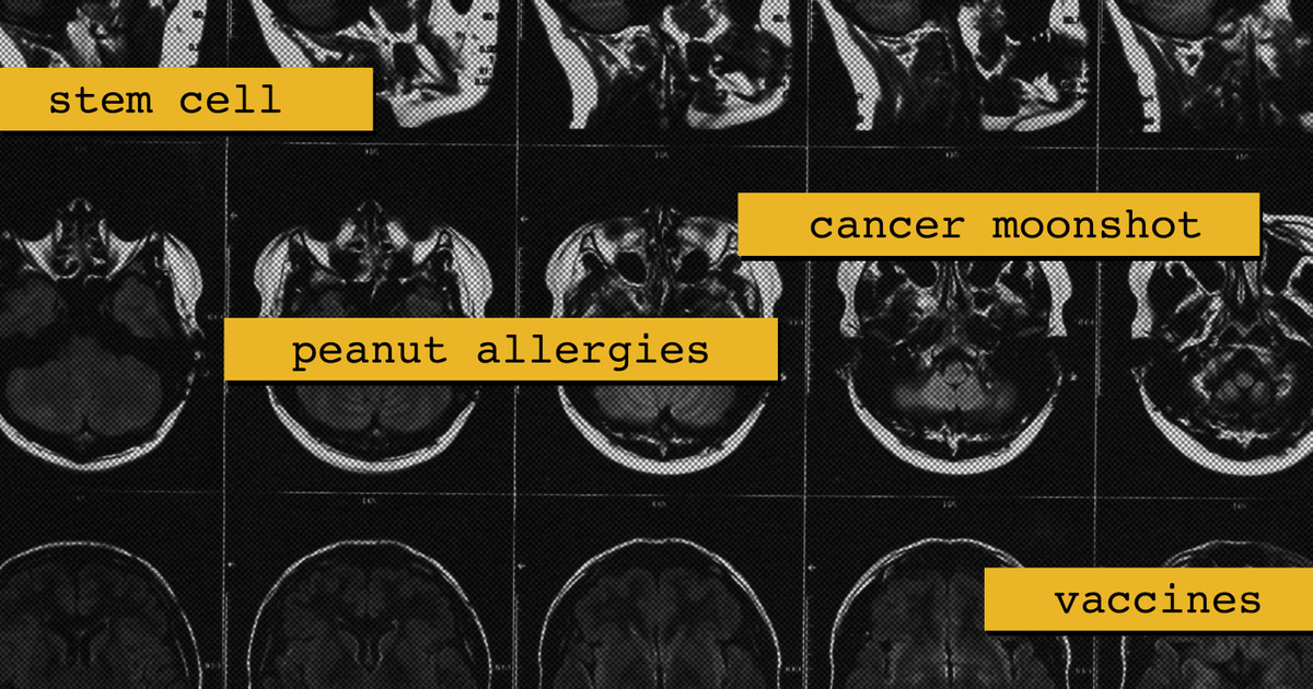 These Topics Are Being Scrutinized at the National Cancer Institute