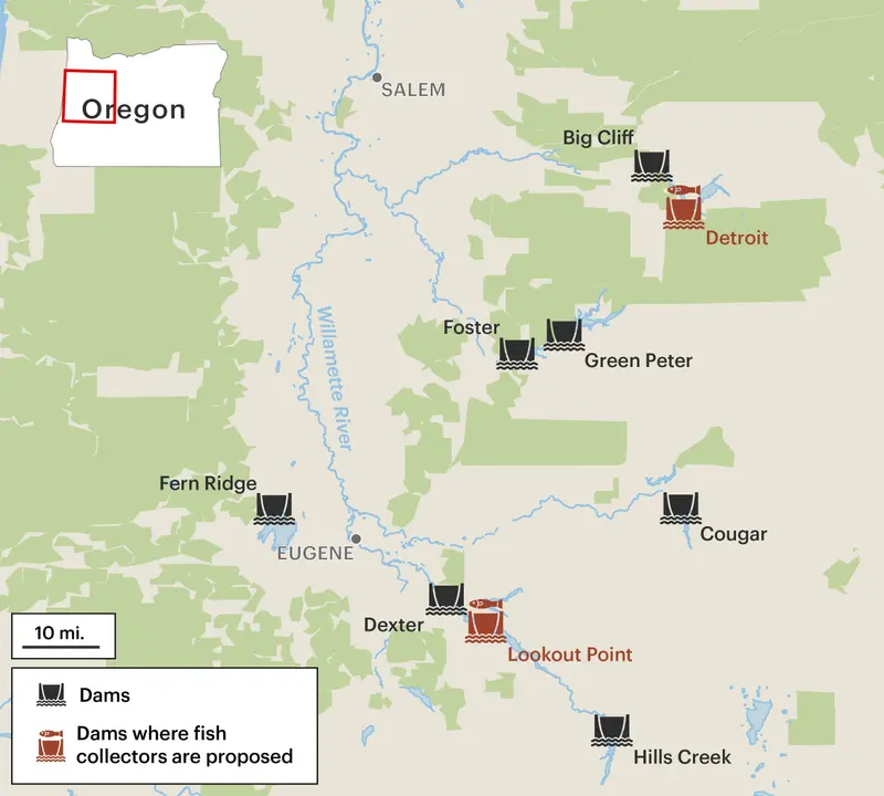 A map of the Willamette River Valley includes icons that represent nine total dams. Two of the dam icons, labeled “Detroit” and “Lookout Point,” are red, indicating they are the dams where fish collectors are proposed.
